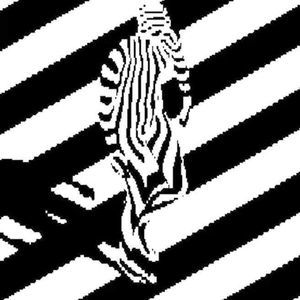 Meet your Posher, Perry